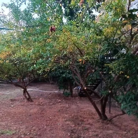 Hotel Modern House In Perfect Location 4*