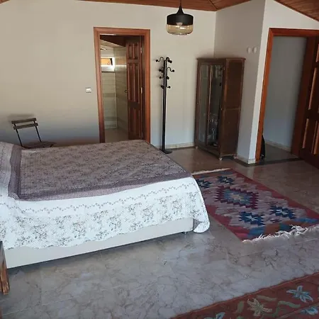 Modern House In Perfect Location Hotel